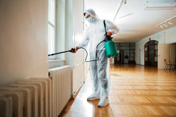 Real Estate Pest Inspections in Lakeland, FL